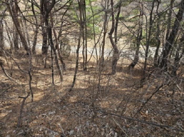 경상남도 산청군 단성면 자양리 산92-23 임야 경매 사진 57