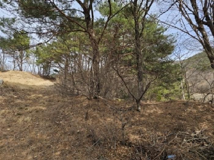 경상남도 산청군 단성면 자양리 산92-23 임야 경매 사진 58