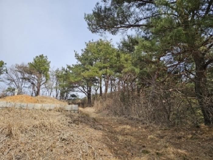 경상남도 산청군 단성면 자양리 산92-23 임야 경매 사진 59