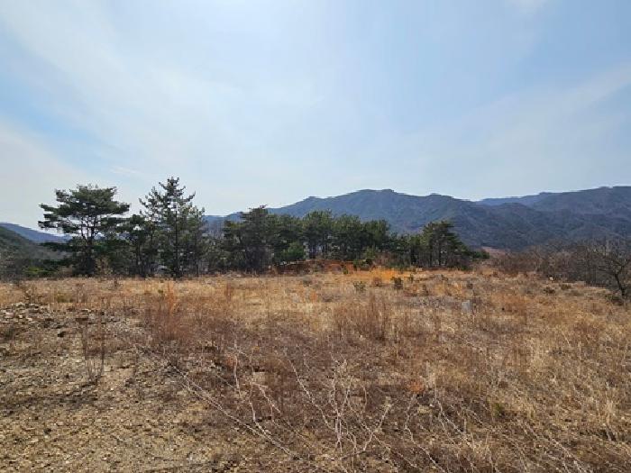 경상남도 산청군 단성면 자양리 산92-23 임야 경매 사진 60