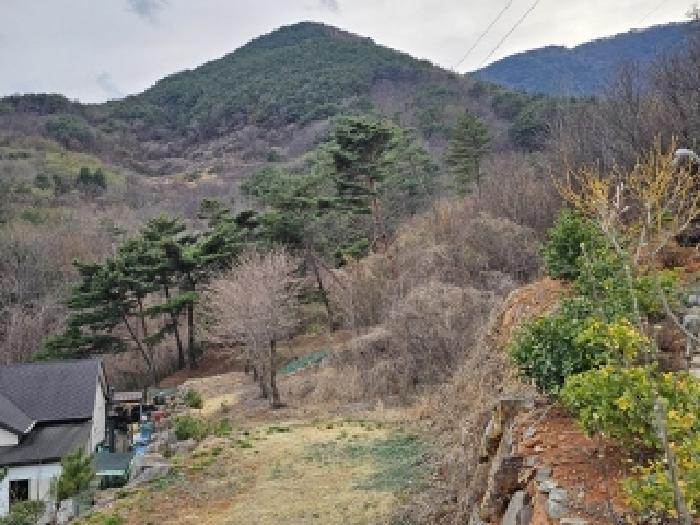 경상남도 산청군 단성면 자양리 산92-23 임야 경매 사진 64