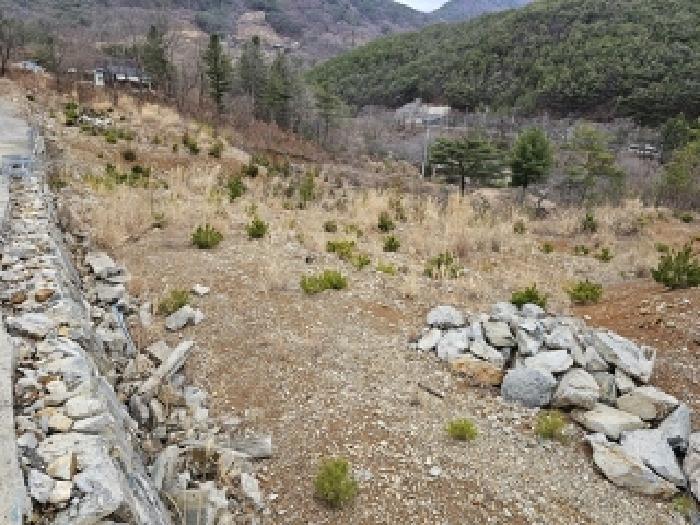 경상남도 산청군 단성면 자양리 산92-23 임야 경매 사진 69