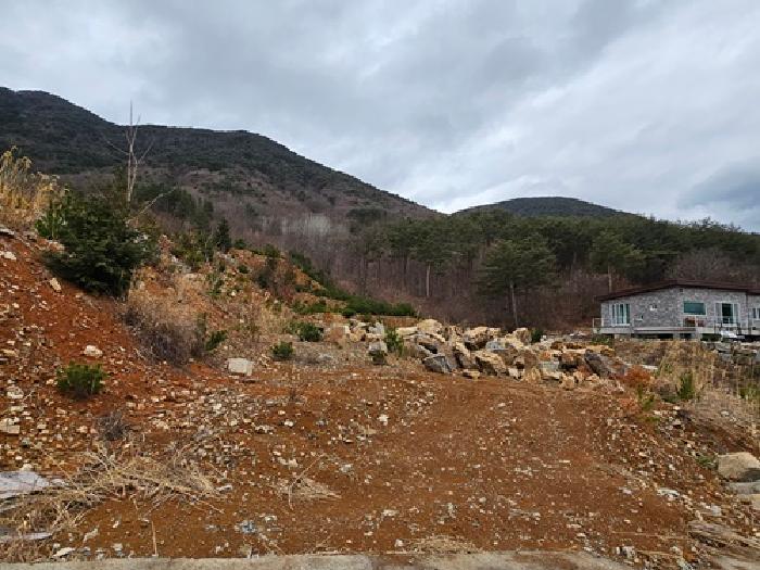 경상남도 산청군 단성면 자양리 산92-23 임야 경매 사진 70