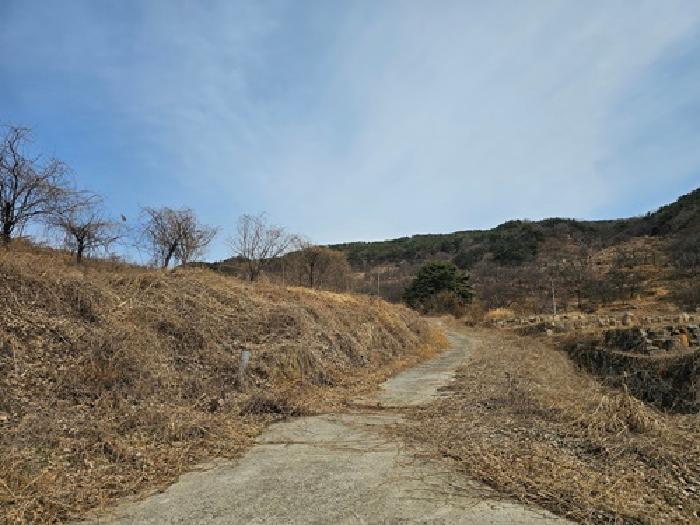 경상남도 산청군 단성면 자양리 산92-23 임야 경매 사진 74