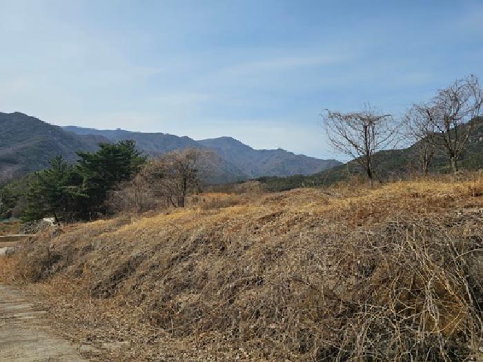 경상남도 산청군 단성면 자양리 산92-23 임야 경매 사진 75