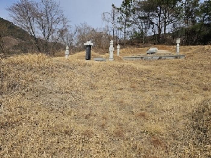 경상남도 산청군 단성면 자양리 산92-23 임야 경매 사진 77