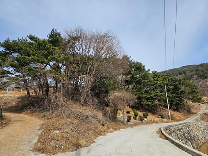 경상남도 산청군 단성면 자양리 산92-23 임야 경매 사진 80