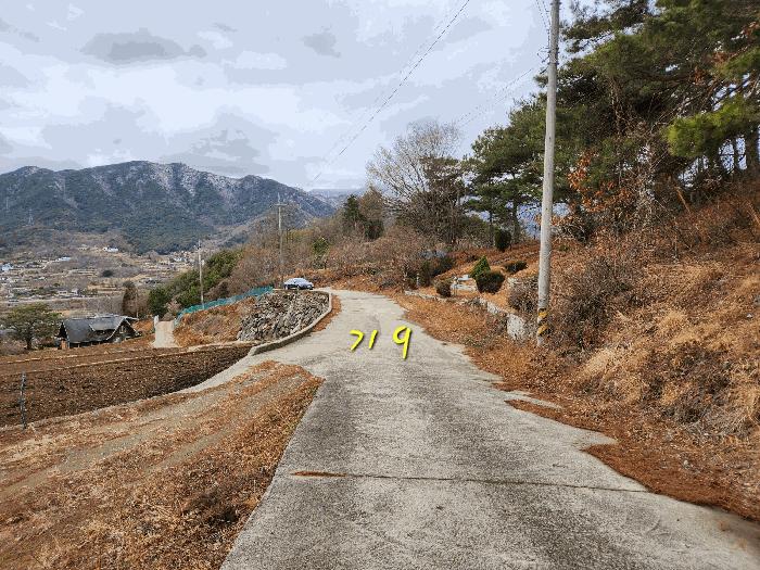 경상남도 산청군 신안면 외송리 381-3 임야 경매 사진 16