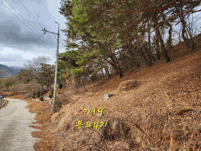 경상남도 산청군 신안면 외송리 381-3 임야 경매 사진 19