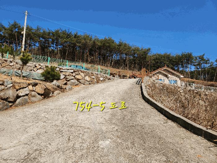 경상남도 산청군 신안면 외송리 381-3 임야 경매 사진 8