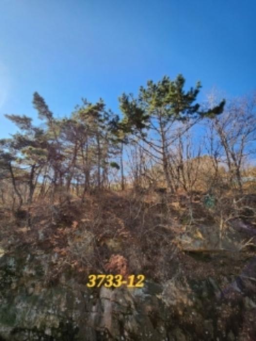 부산광역시 기장군 일광읍 원리 656 주택 경매 사진 31