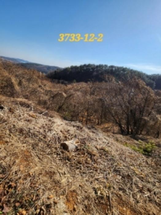 부산광역시 기장군 일광읍 원리 656 주택 경매 사진 40