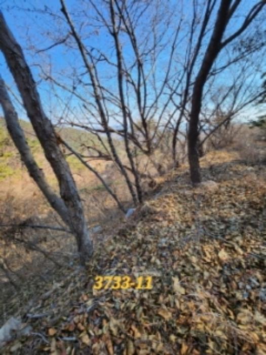 부산광역시 기장군 일광읍 원리 656 주택 경매 사진 45