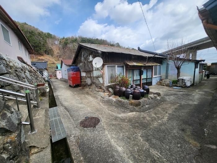 부산광역시 기장군 일광읍 원리 산101-2 임야 경매 사진 13