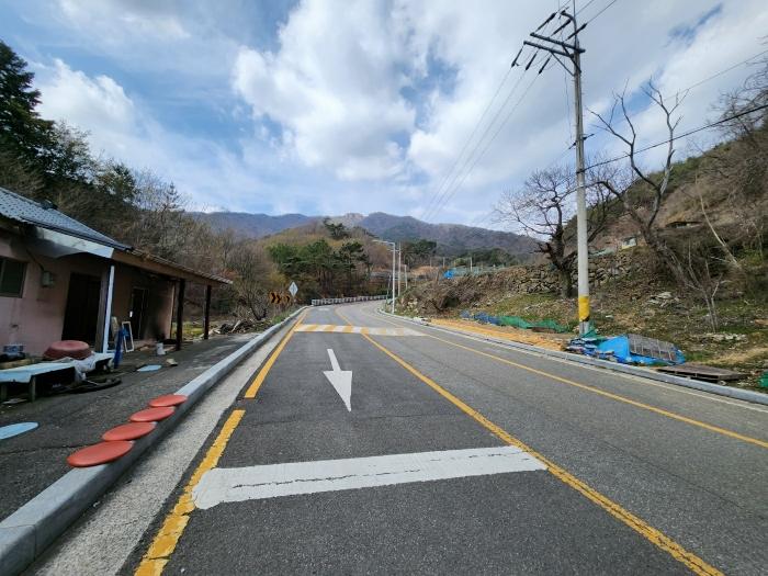 부산광역시 기장군 일광읍 원리 산101-2 임야 경매 사진 2