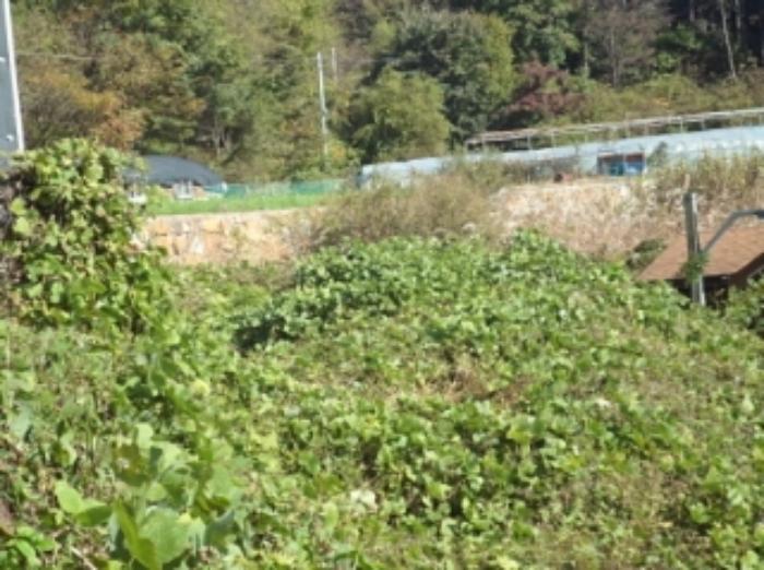 경상남도 밀양시 삼랑진읍 행곡리 220 답 경매 사진 11