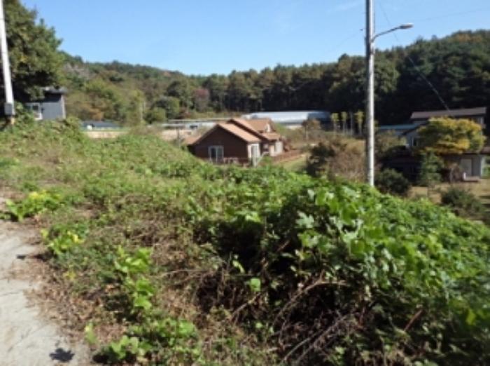 경상남도 밀양시 삼랑진읍 행곡리 220 답 경매 사진 12