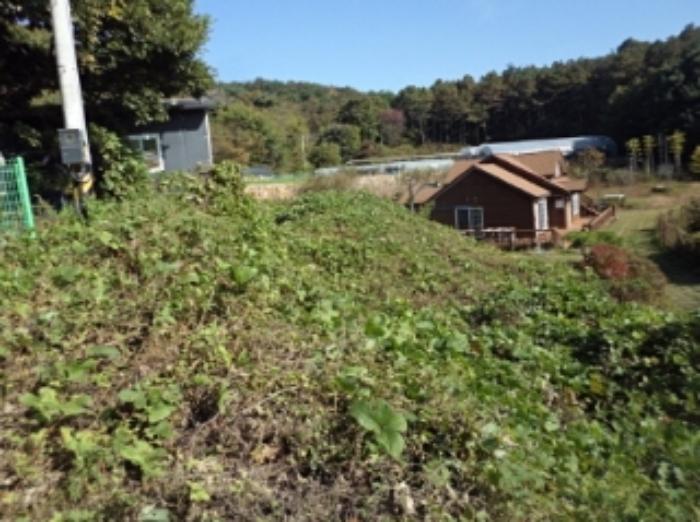 경상남도 밀양시 삼랑진읍 행곡리 251 전 경매 사진 10
