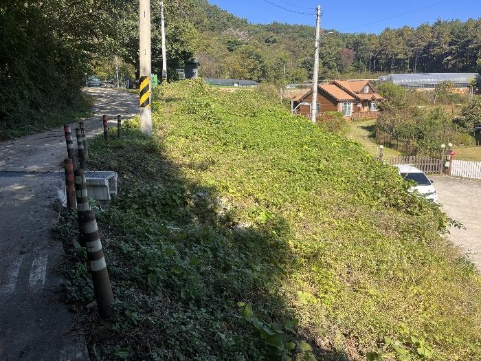경상남도 밀양시 삼랑진읍 행곡리 307 전 경매 사진 1