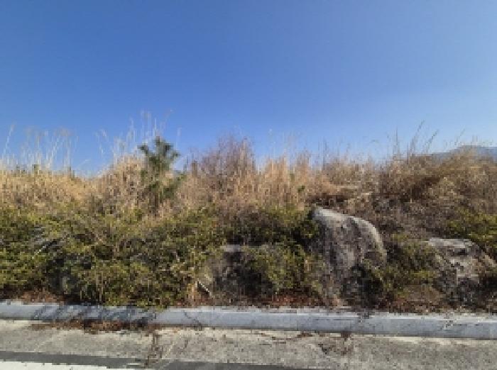 경상남도 고성군 마암면 보전리 1335-6 대지 경매 사진 13