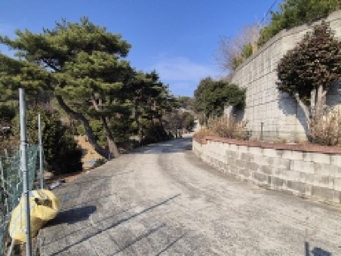 경상남도 고성군 마암면 보전리 1335-6 대지 경매 사진 21