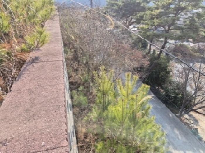 경상남도 고성군 마암면 보전리 1335-6 대지 경매 사진 23