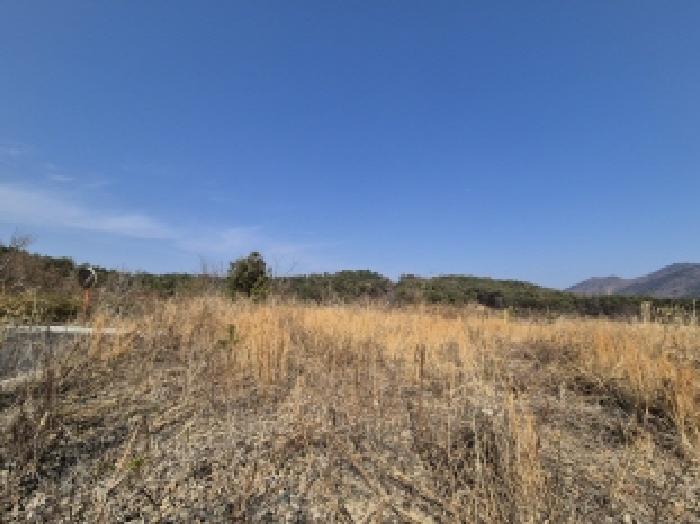 경상남도 고성군 마암면 보전리 1335-6 대지 경매 사진 30