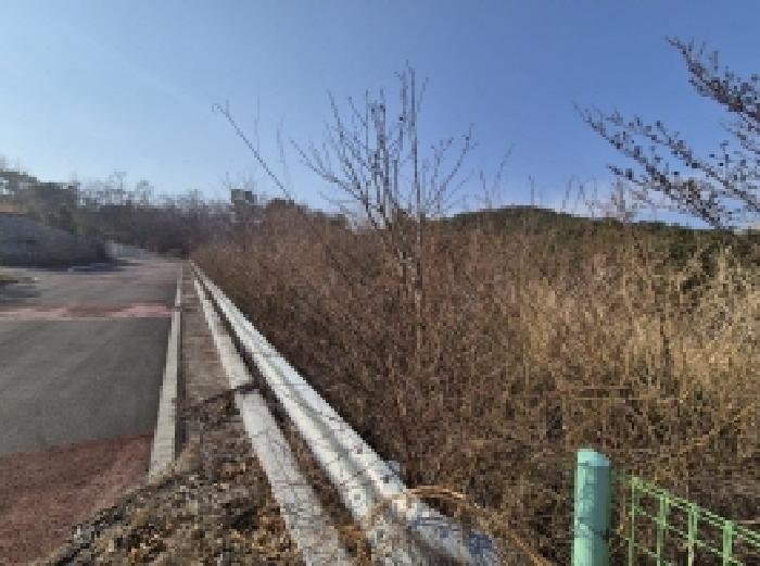 경상남도 고성군 마암면 보전리 1335-6 대지 경매 사진 32
