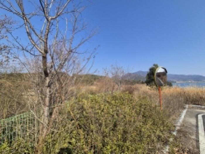 경상남도 고성군 마암면 보전리 1335-6 대지 경매 사진 35