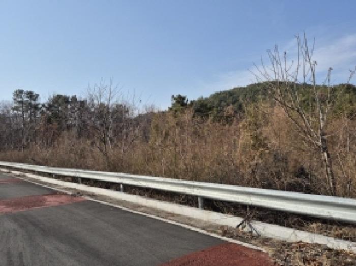 경상남도 고성군 마암면 보전리 1335-6 대지 경매 사진 37