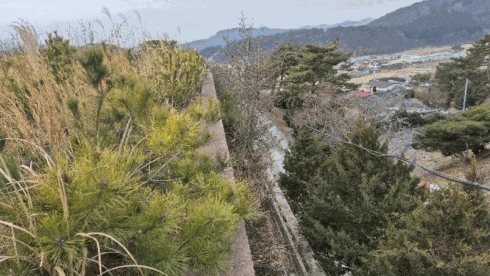 경상남도 고성군 마암면 보전리 1335-6 대지 경매 사진 9