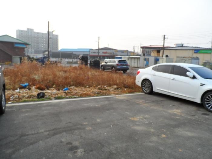 전라남도 무안군 해제면 양매리 859 답 경매 사진 2