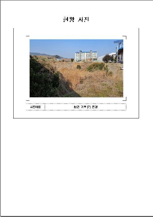 전라남도 무안군 해제면 양매리 859 답 경매 사진 9