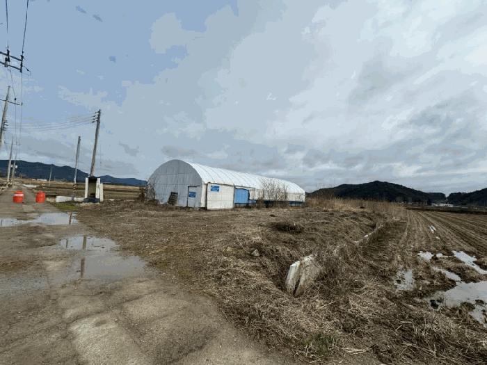 전라남도 함평군 학교면 복천리 1037-2 답 경매 사진 6