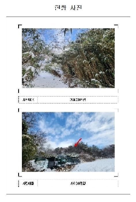 전라남도 영암군 영암읍 교동리 381 임야 경매 사진 4