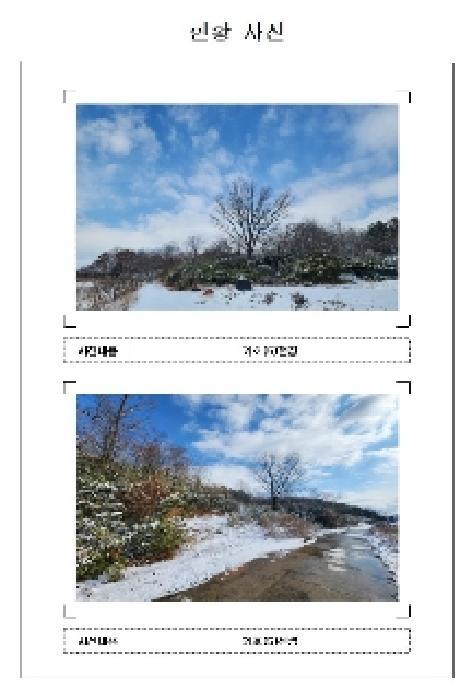 전라남도 영암군 영암읍 교동리 381 임야 경매 사진 5