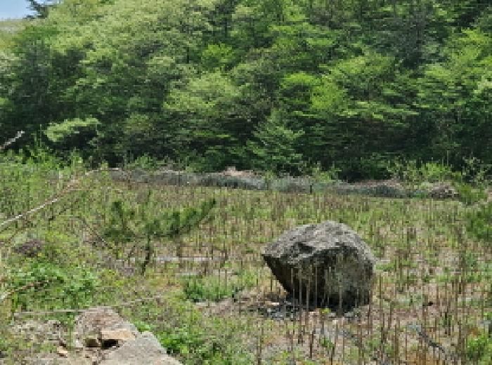 전라남도 고흥군 포두면 봉림리 819 전 경매 사진 10