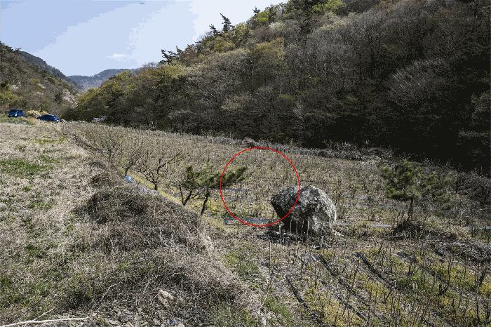 전라남도 고흥군 포두면 봉림리 819 전 경매 사진 2