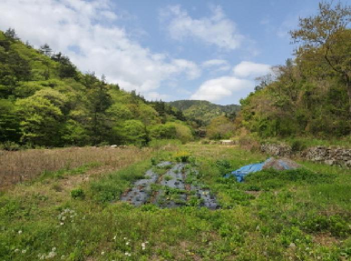 전라남도 고흥군 포두면 봉림리 819 전 경매 사진 5