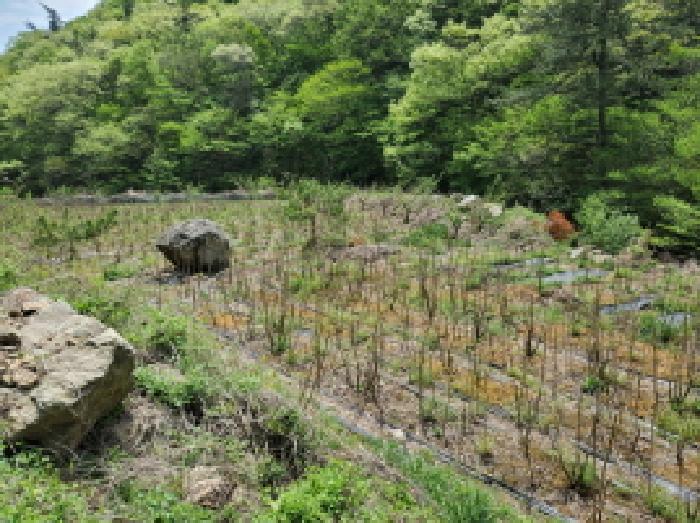 전라남도 고흥군 포두면 봉림리 819 전 경매 사진 9