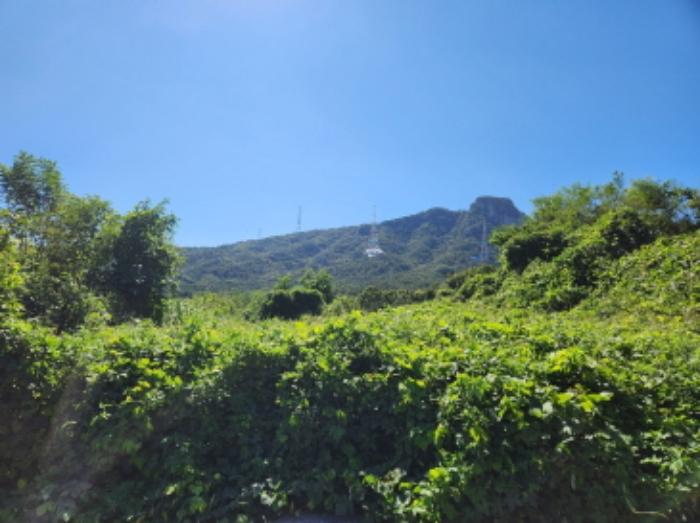 경기도 양주시 산북동 351-3 대지 경매 사진 12