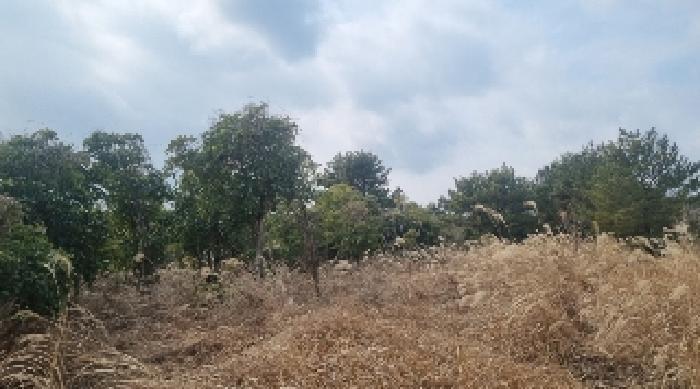 제주특별자치도 서귀포시 성산읍 삼달리 1818 전 경매 사진 17