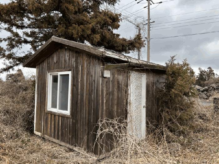 제주특별자치도 제주시 애월읍 하가리 100 과수원 경매 사진 1