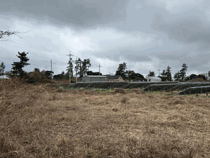 제주특별자치도 제주시 애월읍 하가리 100 과수원 경매 사진 4