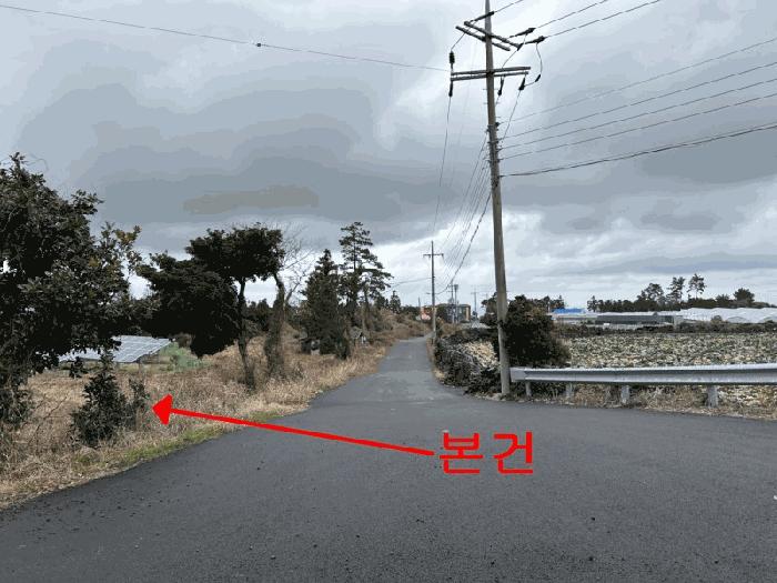 제주특별자치도 제주시 애월읍 하가리 100 과수원 경매 사진 5