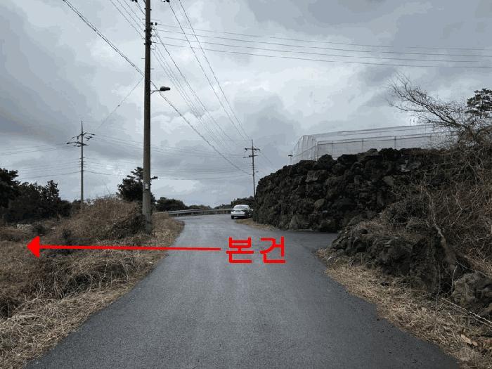 제주특별자치도 제주시 애월읍 하가리 100 과수원 경매 사진 8