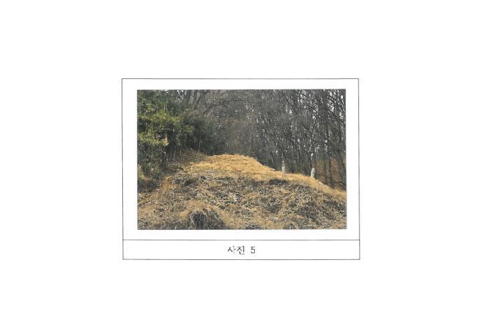 경상북도 김천시 봉산면 덕천리 산47-14 임야 경매 사진 13