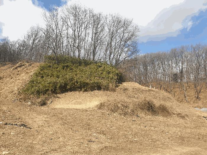 경상북도 김천시 봉산면 덕천리 산47-14 임야 경매 사진 5