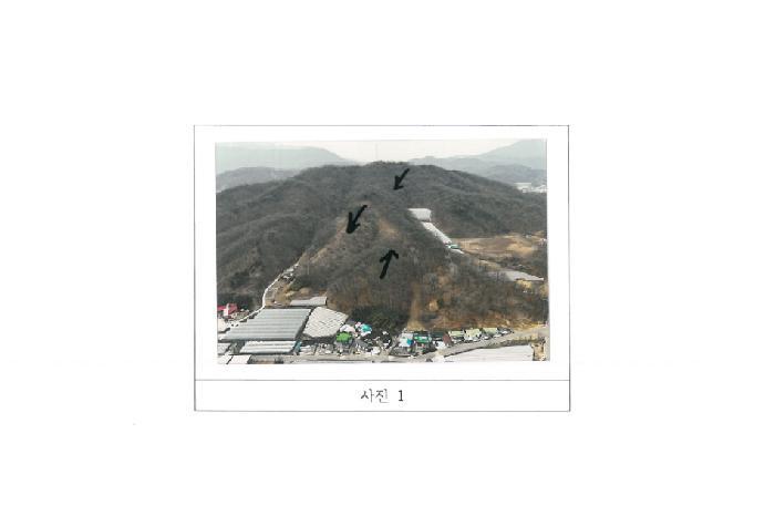 경상북도 김천시 봉산면 덕천리 산47-14 임야 경매 사진 9