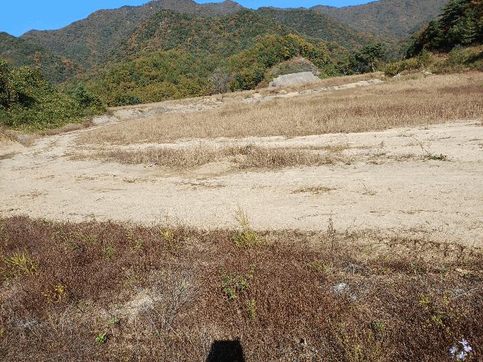 경상북도 상주시 화서면 상용리 308-1 주택 경매 사진 13